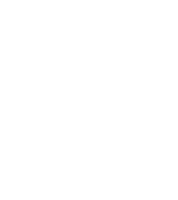 نشان موکب امام رضا علیه‌السلام